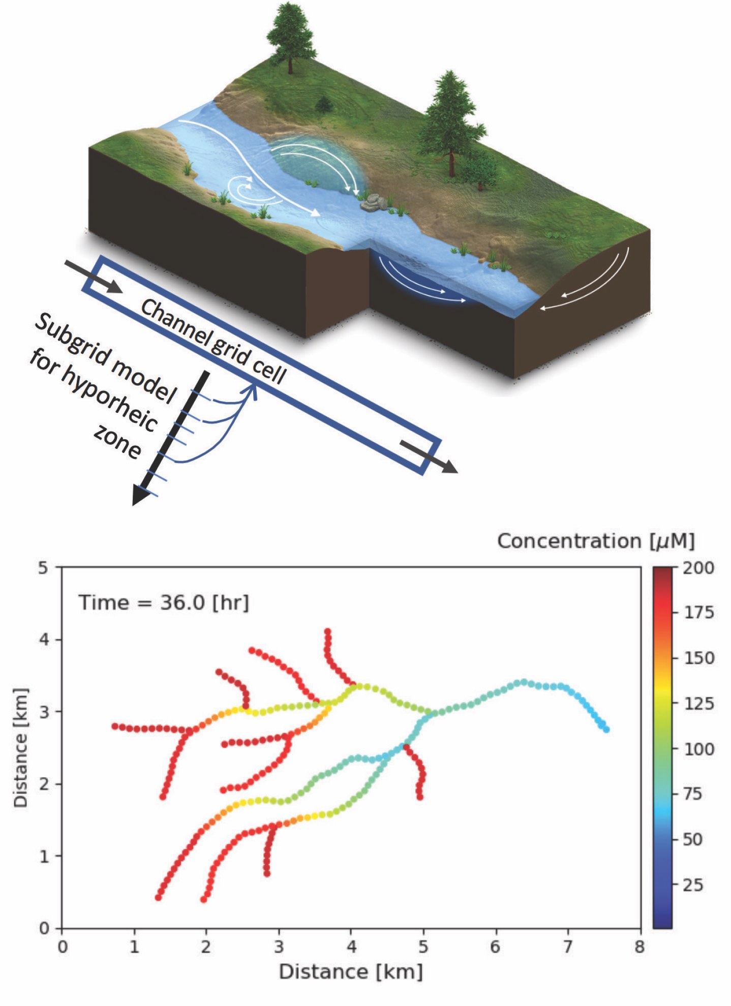 Hyporheic exchange in the stream/river corridor and nitrate concentration from a watershed-scale simulation.