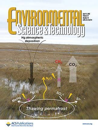 Cover of Environmental Science and Technology